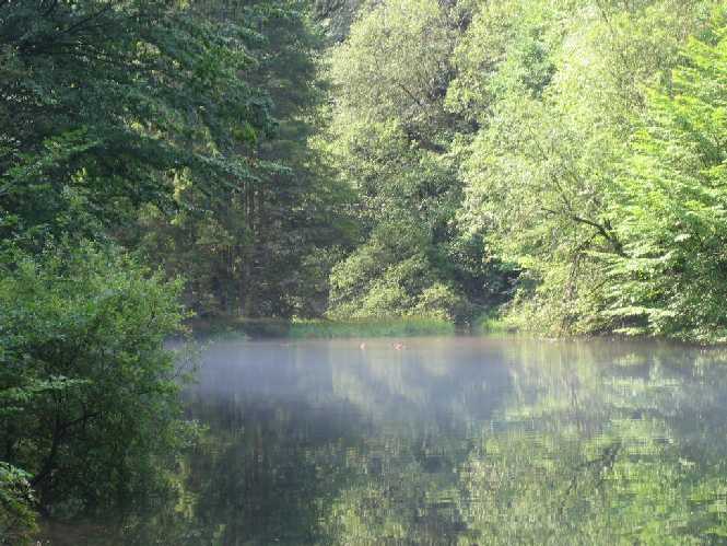 Hornesselwiese-Weiher
