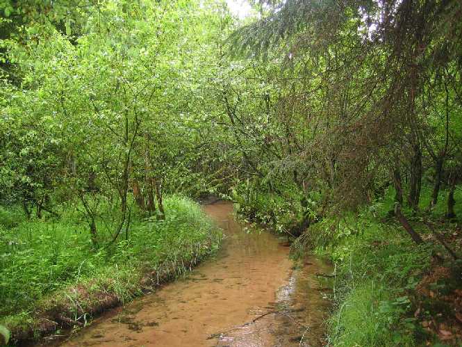 Bachlandschaft am HelmBach